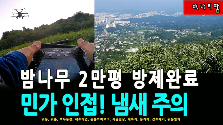 산악지대 밤나무 과수원에서 드론으로 농약을 방제하는 모습