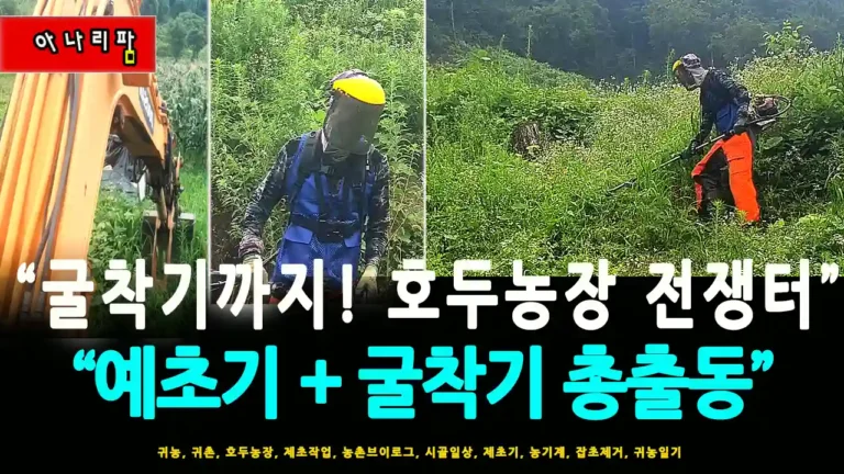 호두농장 예초작업 굴착기 + 예초기