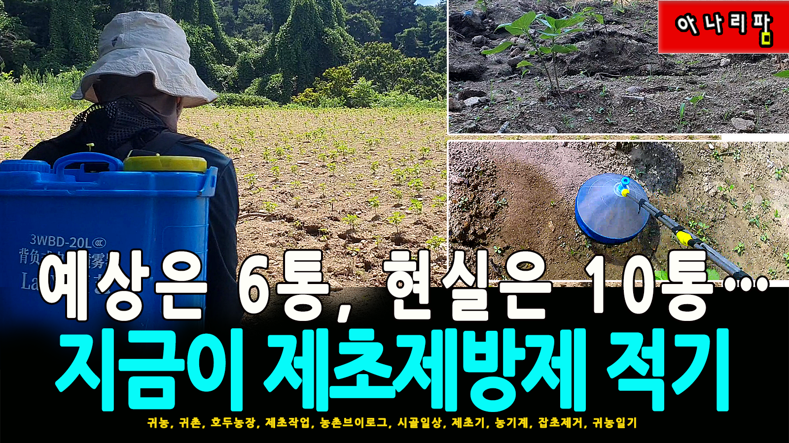 충전식 분무기로 들깨밭에 제초제를 방제 중인 모습