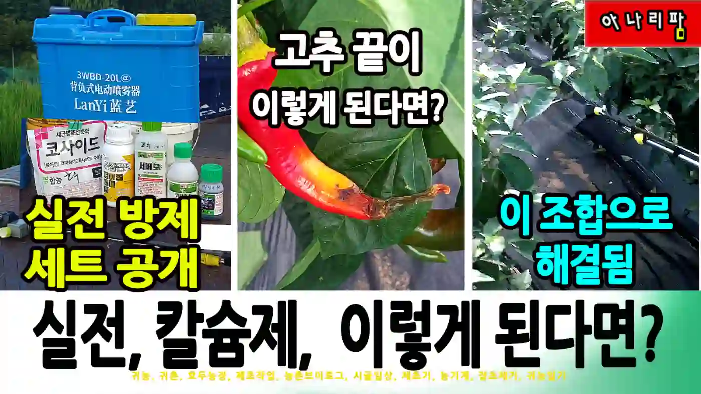 충전식 분무기를 활용한 고추밭 병해충 방제