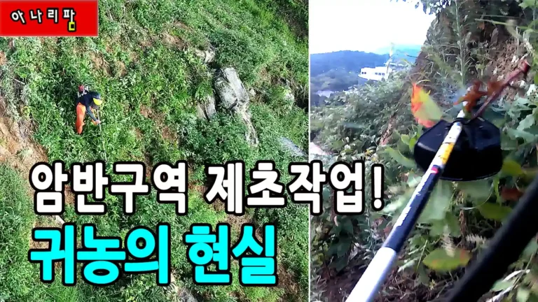 치악산 호두농원 바위 암반지대 제초작업과 저녁 노을 풍경