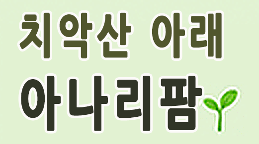 치악산 아래 아나리팜 로고