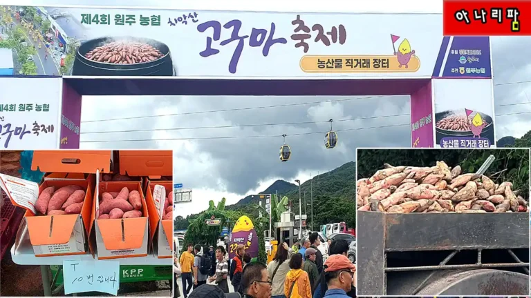 원주 치악산 고구마축제 행사장 전경